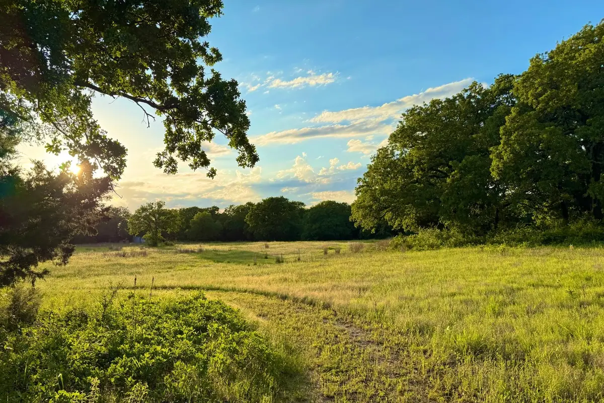 9213 Scenic Drive, Pilot Point, TX 76258 - Image #1