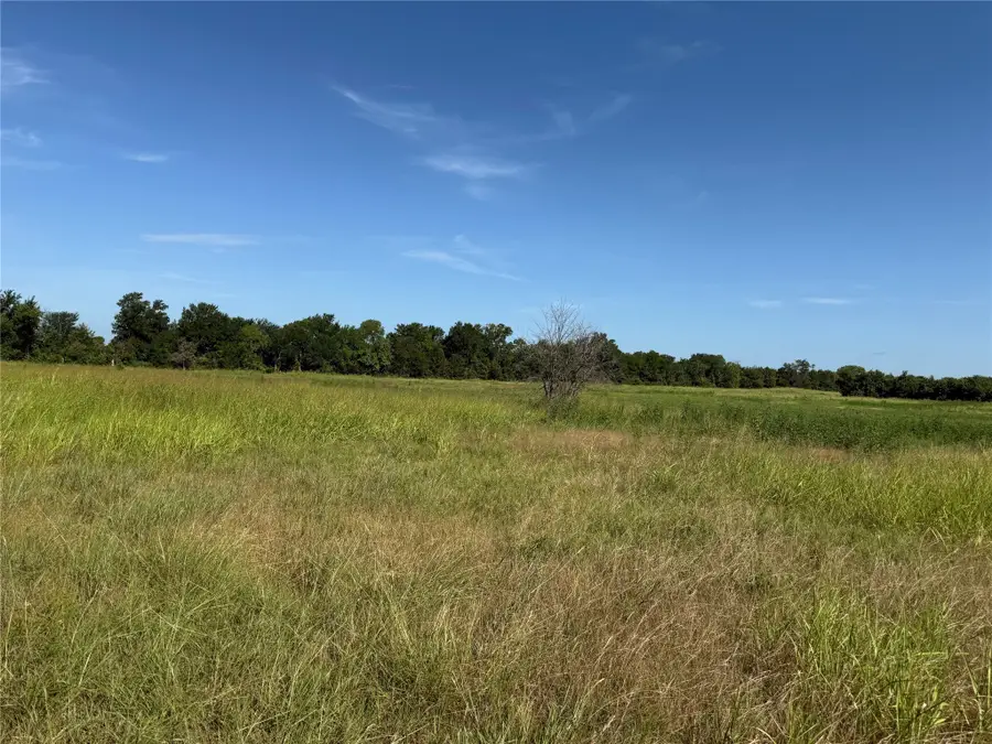 Tract 1 County Road 5045, Leonard, TX 75452 - #2