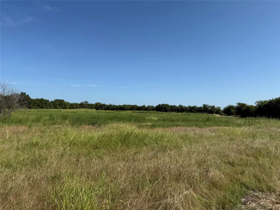 Tract 2 County Road 5045, Leonard, TX 75452 - Image #2