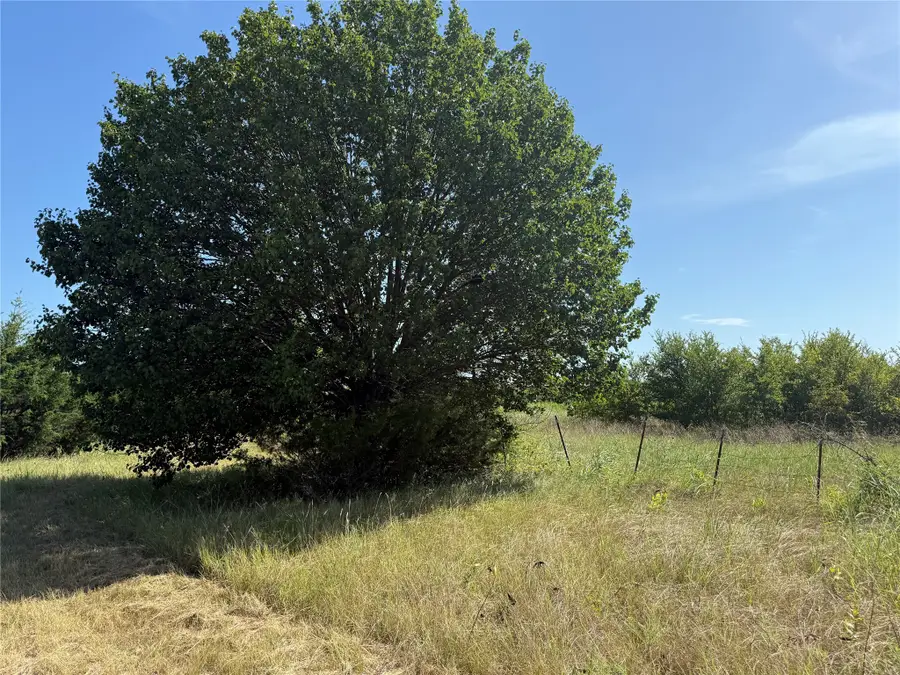 Tract 2 County Road 5045, Leonard, TX 75452 - Image #3
