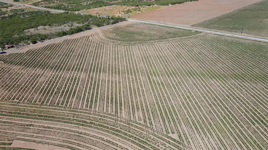 462 +/-ac Fm 1225, Haskell, TX 79521 - Image #2