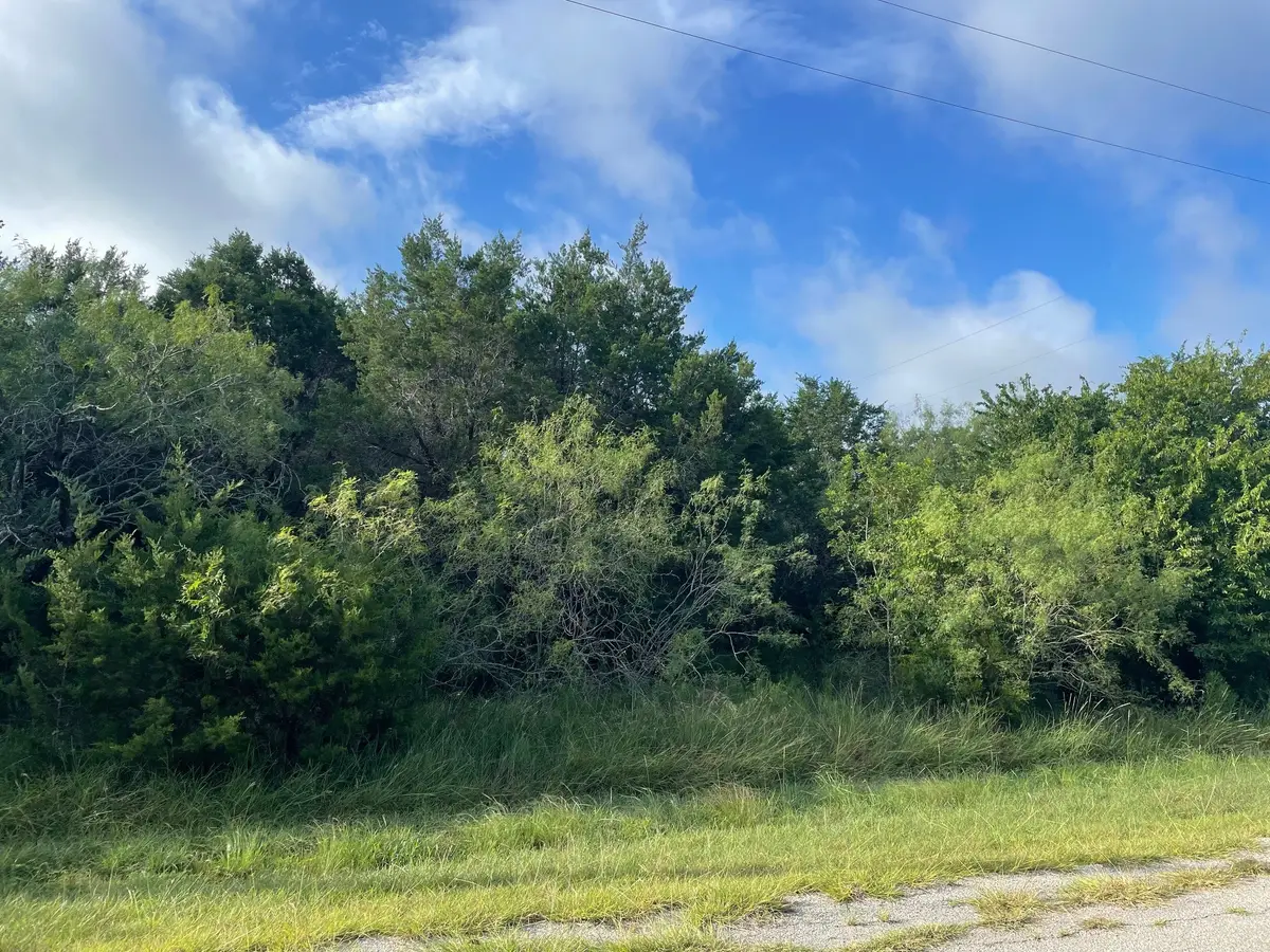 12028 Shady Creek & Trailwood Dr Drive, Whitney, TX 76692 - Image #1