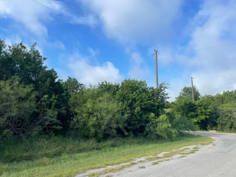 12028 Shady Creek & Trailwood Dr Drive, Whitney, TX 76692 - Image #2