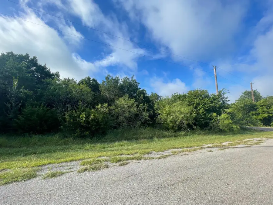 12028 Shady Creek & Trailwood Dr Drive, Whitney, TX 76692 - Image #3