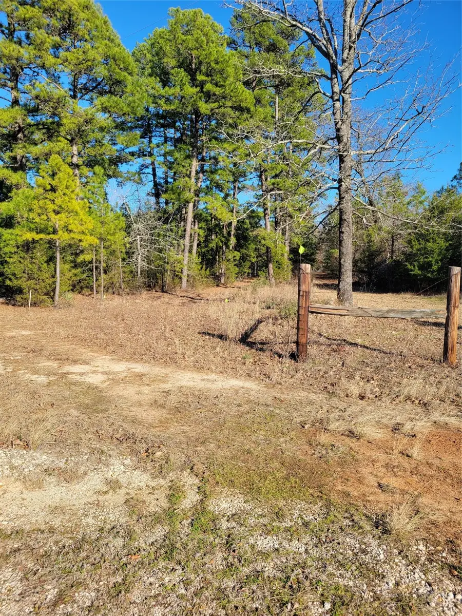 00 Private Road 7493, Hawkins, TX 75765 - Image #3