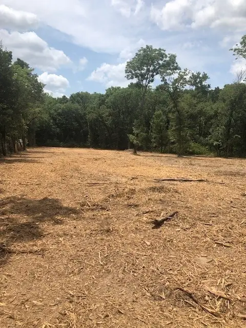 1.856acs Cr-3622, Quinlan, TX 75474 - Image #2