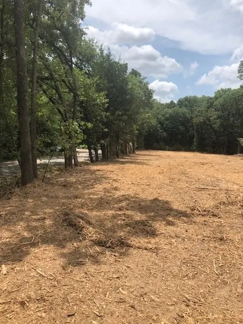 1.856acs Cr-3622, Quinlan, TX 75474 - Image #3