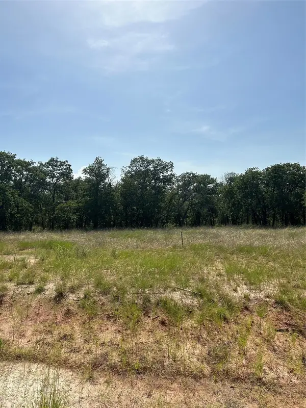 00 Stallion Meadows, Perrin, TX 76486