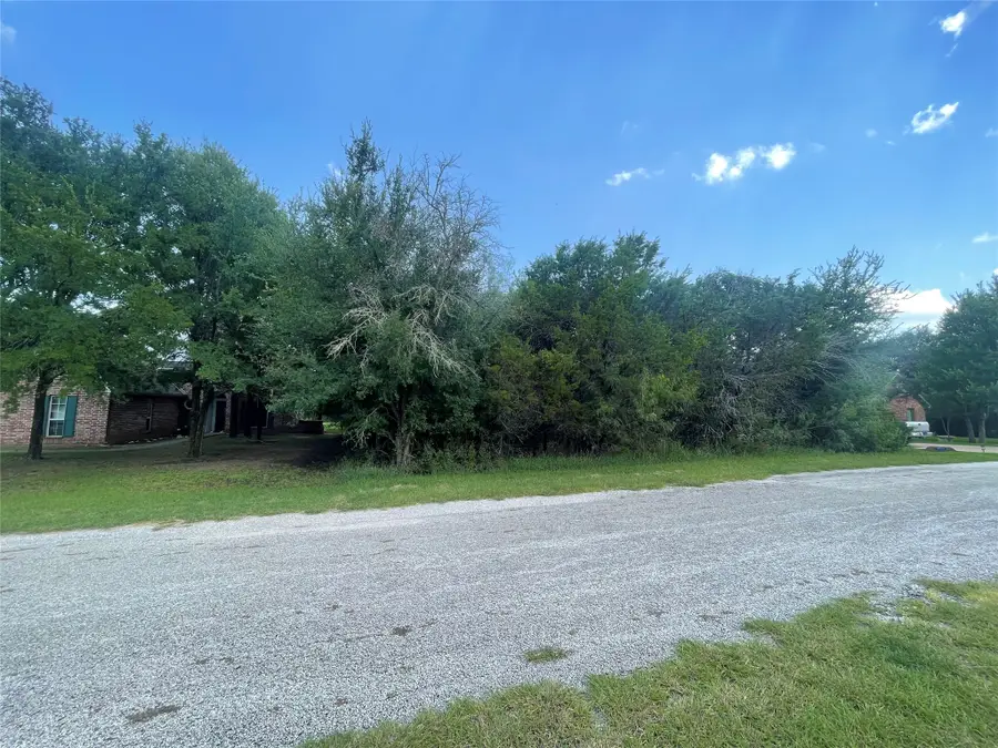 35033 Oak Wood Drive, Whitney, TX 76692 - Image #2