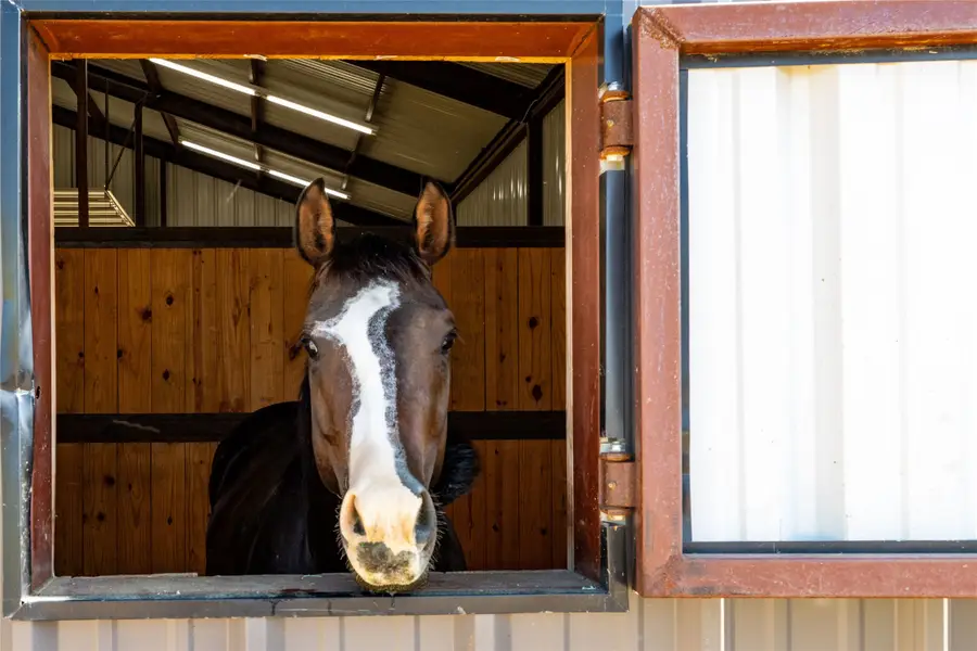 5543 Gray Road, Nocona, TX 76255 - Image #3