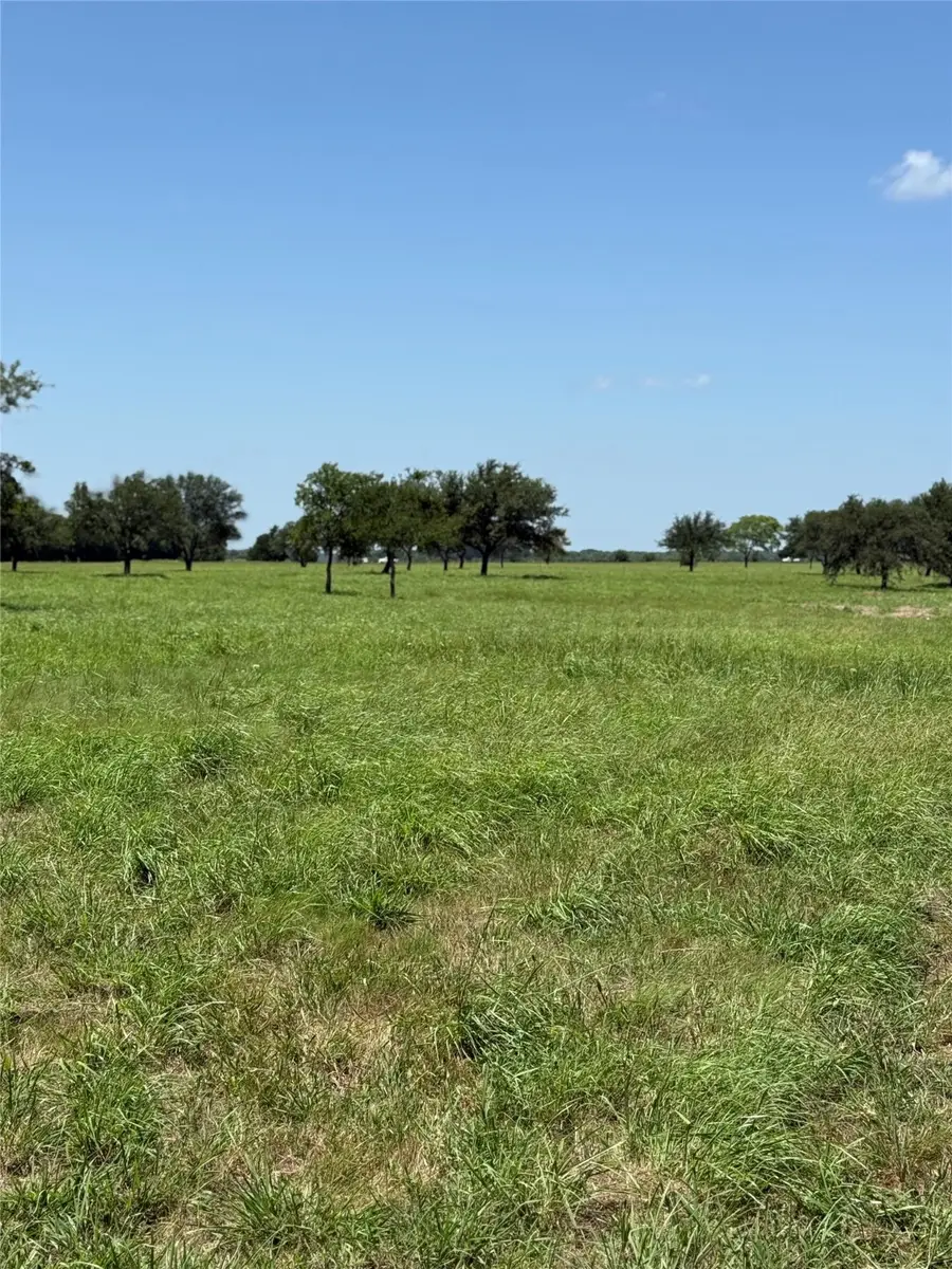 TBD Lot 7 County Road 3811, Wills Point, TX 75169 - Image #2