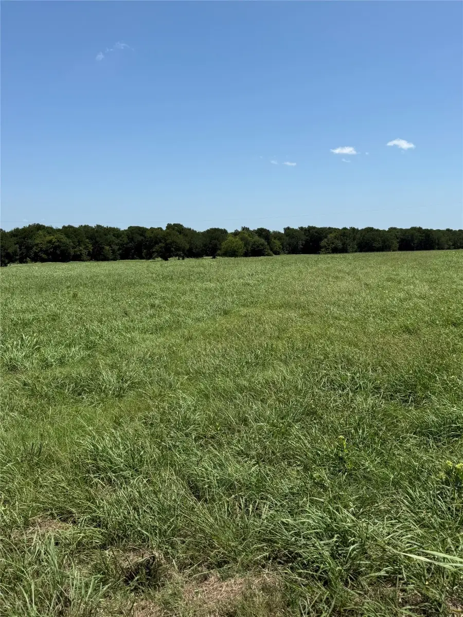 TBD Lot 7 County Road 3811, Wills Point, TX 75169 - Image #3