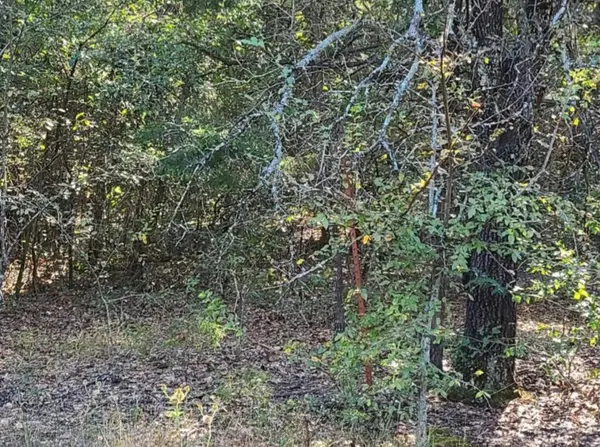 0 County Rd 1158, Brashear, TX 75420