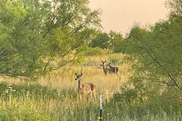 0000 Fm 3102, Paducah, TX 79248