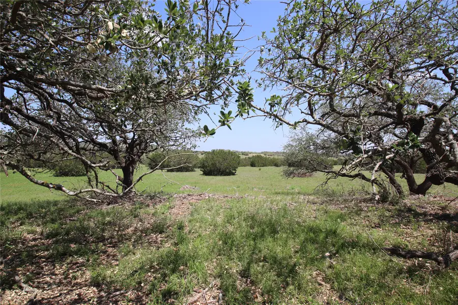 TBD Fm 221 - Tract 3, Pottsville, TX 76565 - Image #2