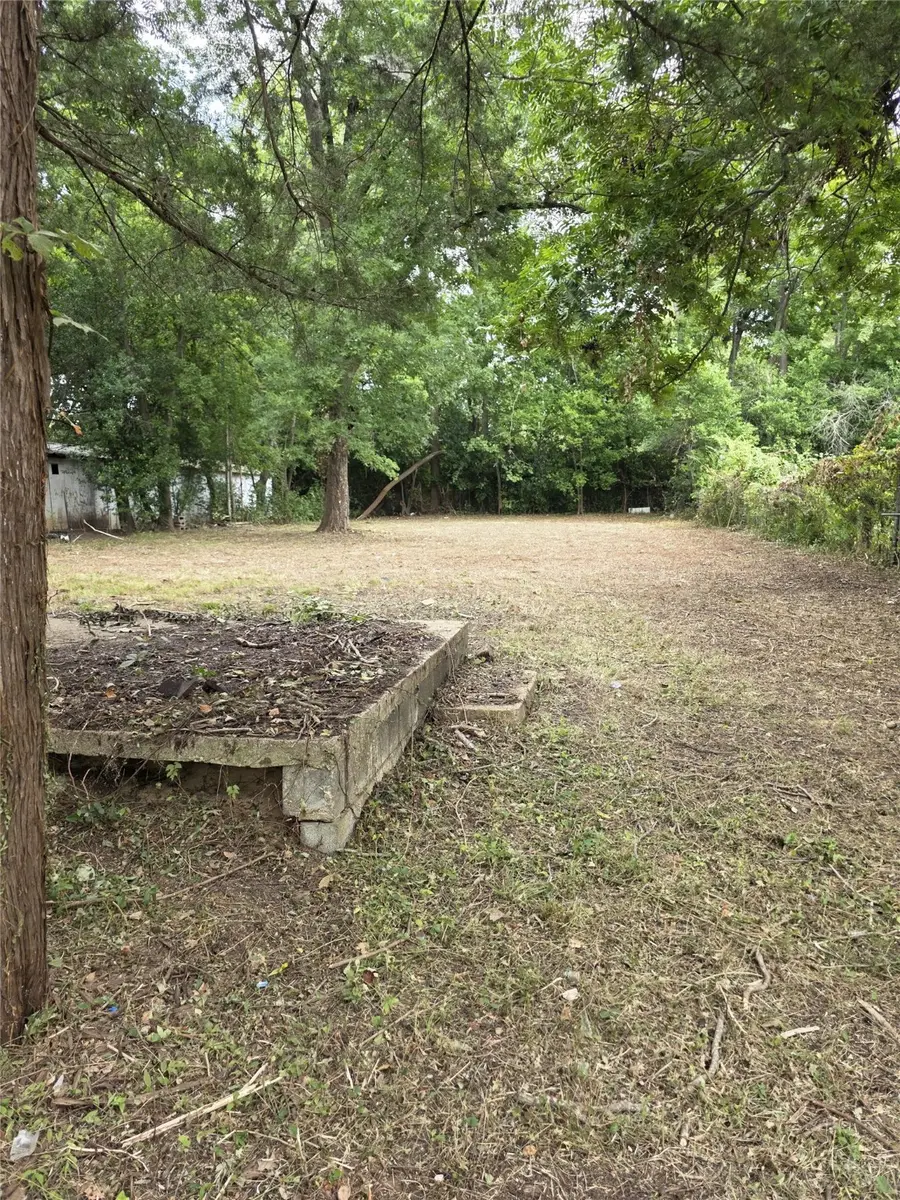 816 N Cottage Avenue, Palestine, TX 75801 - Image #2