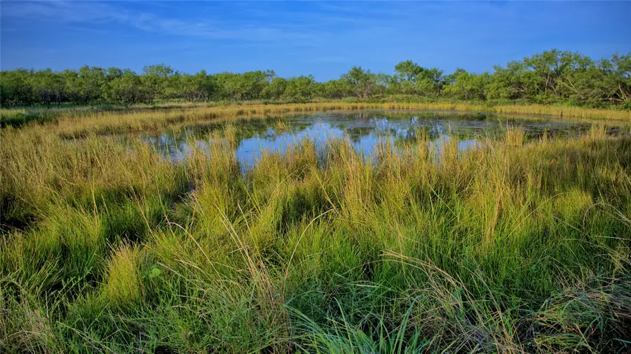 2463 Raymond Edwards Road, Henrietta, TX 76365 - Image #3