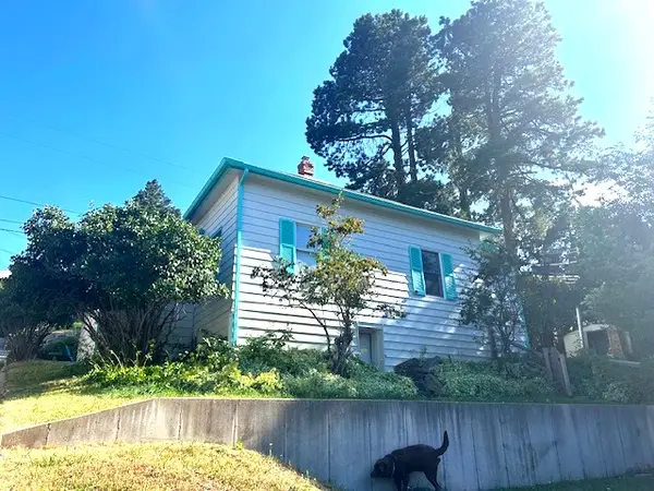 113 Alert Street, Lead, SD 57754