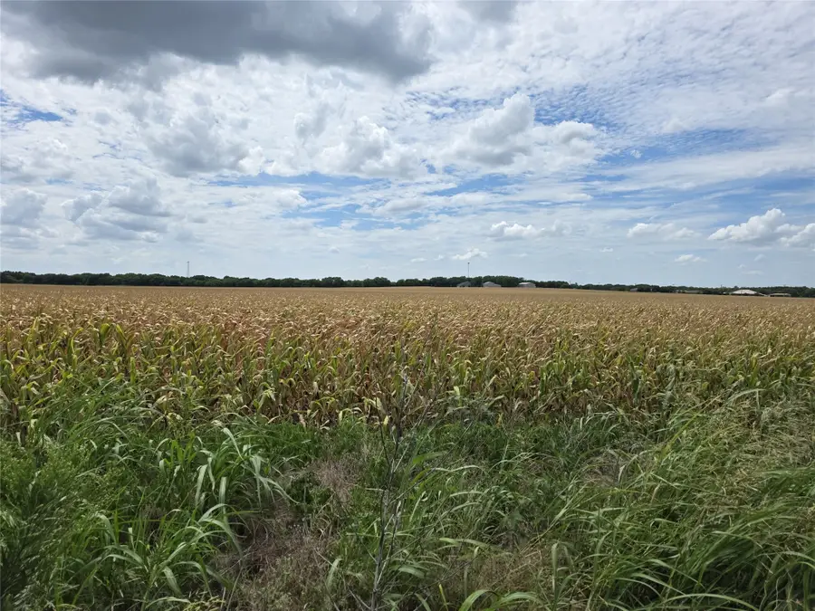 TBD Old Tx-6, Van Alstyne, TX 75495 - Image #2