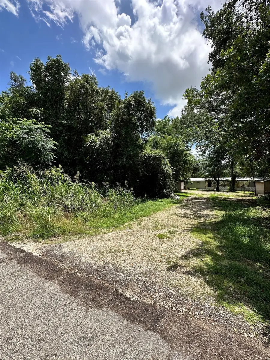 2917 Cedarbrush Street, Granbury, TX 76048 - Image #2