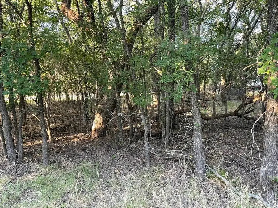 622 Cypress Drive, May, TX 76857 - Image #2