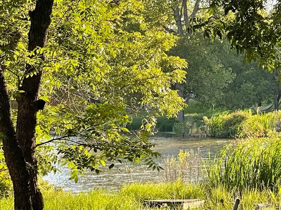 622 Cypress Drive, May, TX 76857 - Image #3