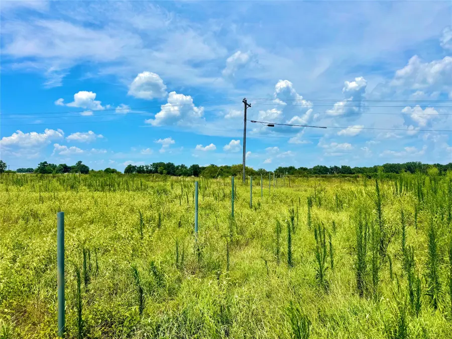 TBD Tract 24 County Rd 3644, Pickton, TX 75471 - Image #3