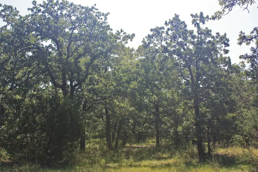 TBD Paluxy Highway, Bluff Dale, TX 76433 - Image #3