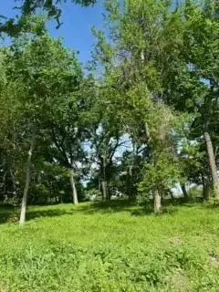 35 Longview Creek Trail, Itasca, TX 76055 - Image #3