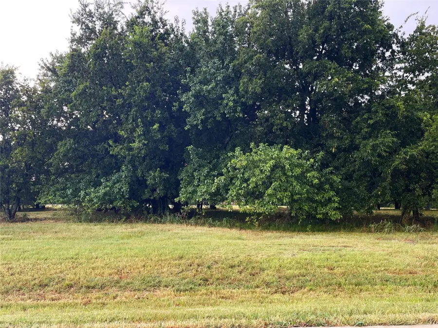 Lot 33B La Paloma Circle, Gordonville, TX 76245 - Image #2