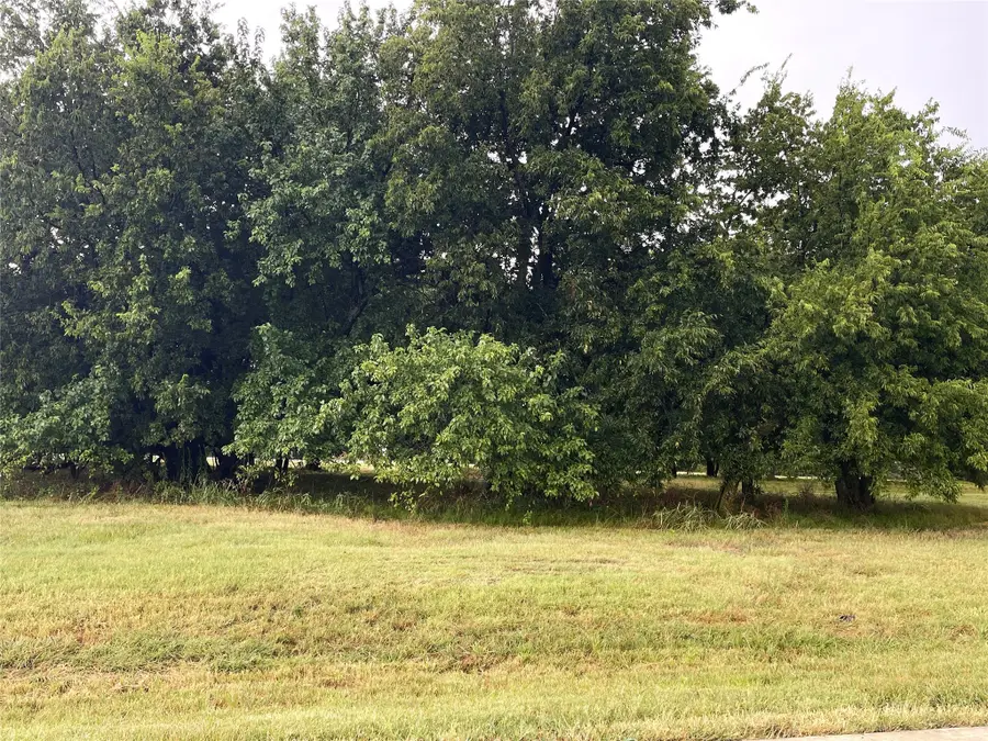 Lot 33B La Paloma Circle, Gordonville, TX 76245 - Image #3