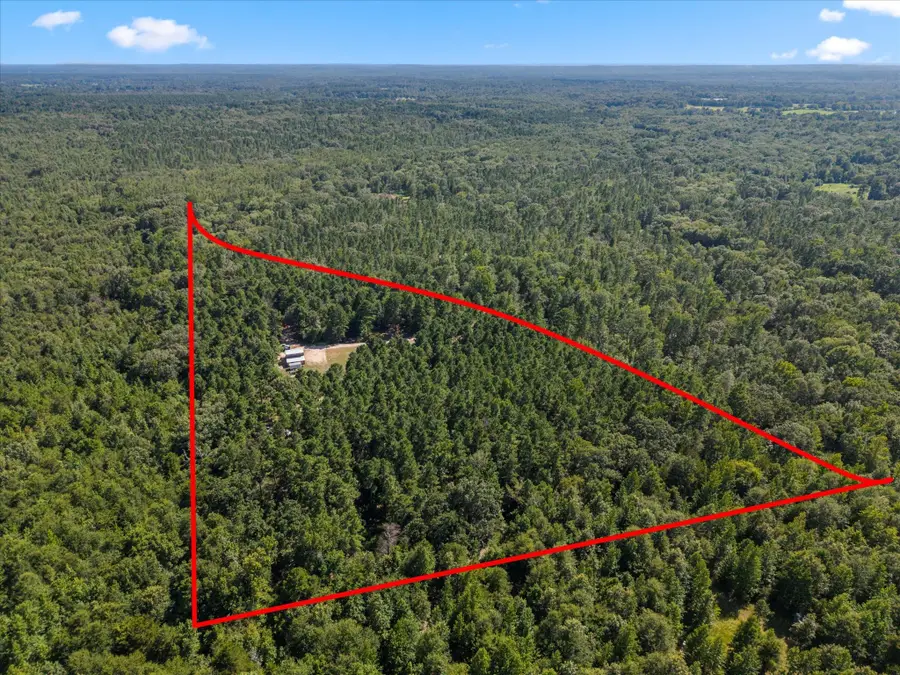 4012 County Road 3990, Winnsboro, TX 75494 - Image #2