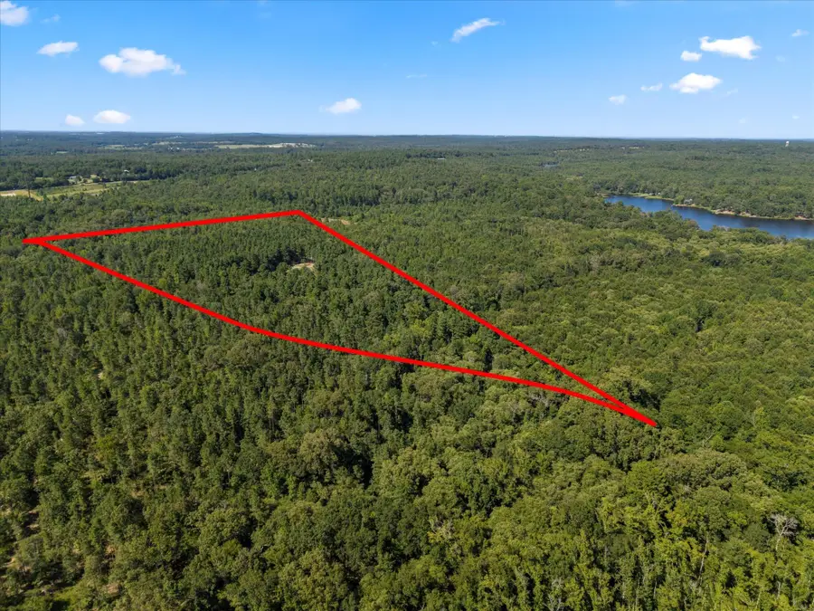 4012 County Road 3990, Winnsboro, TX 75494 - Image #3