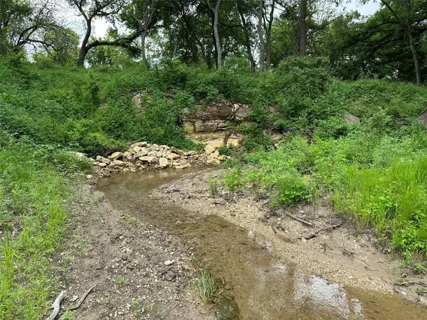 Lot 3 Ranchside Court, Itasca, TX 76055