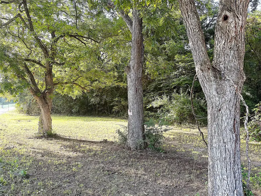 TBD Lil Arkansas Road, Bells, TX 75414 - Image #2