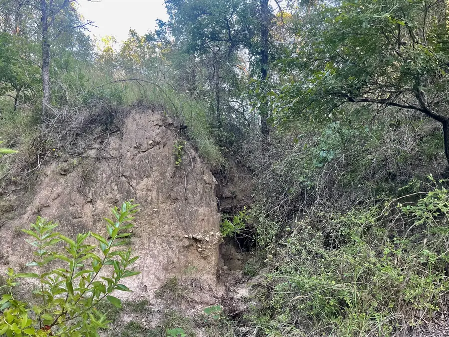 TBD Cr 244, Comanche, TX 76442 - Image #3