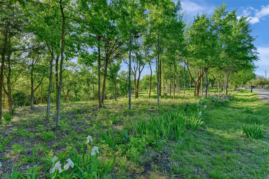 Lot 1A-1 Thompson Heights Drive, Denison, TX 75020 - Image #3