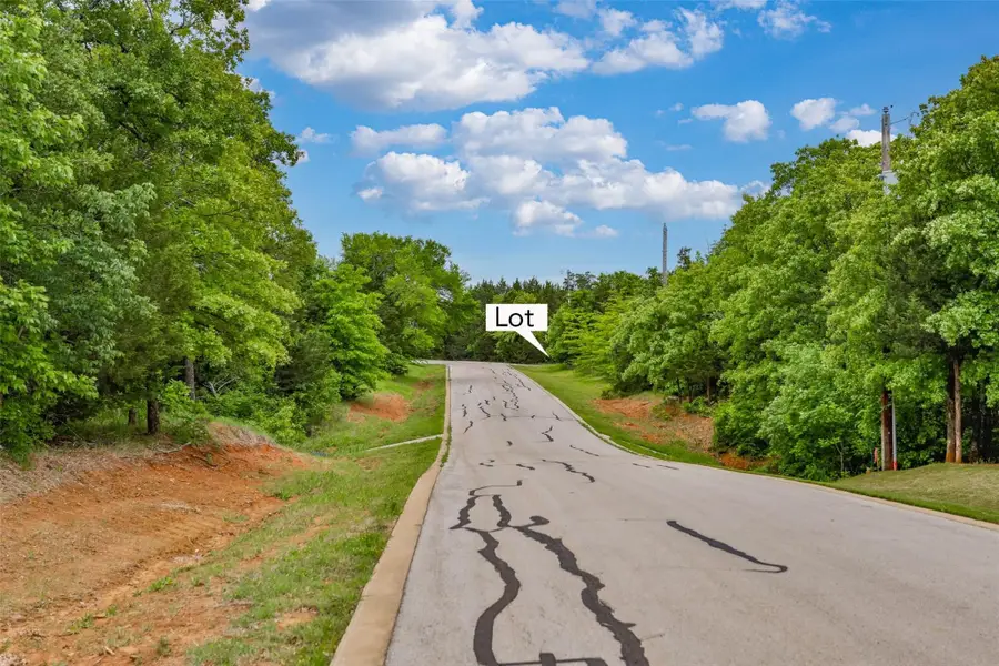 740 Palmilla Drive, Gordonville, TX 76245 - Image #3