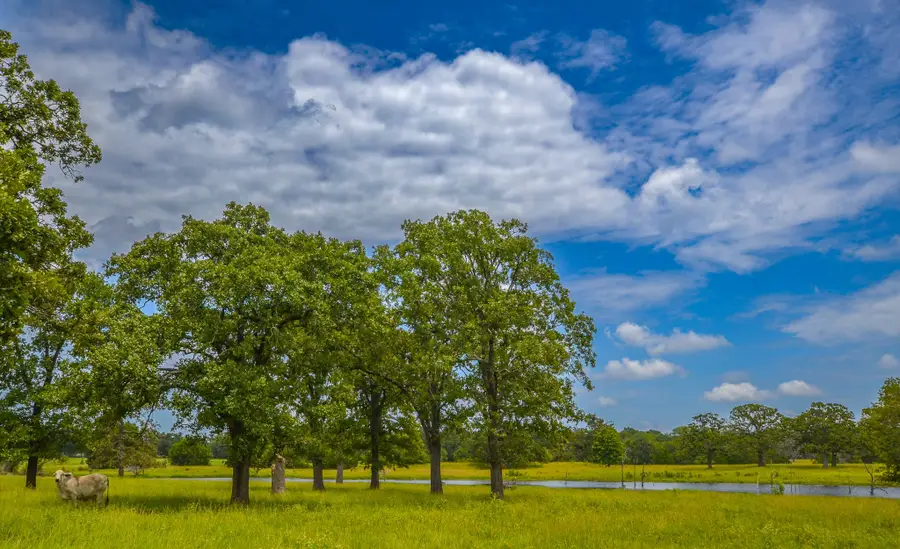 441 Fm 416, Streetman, TX 75859 - Image #2