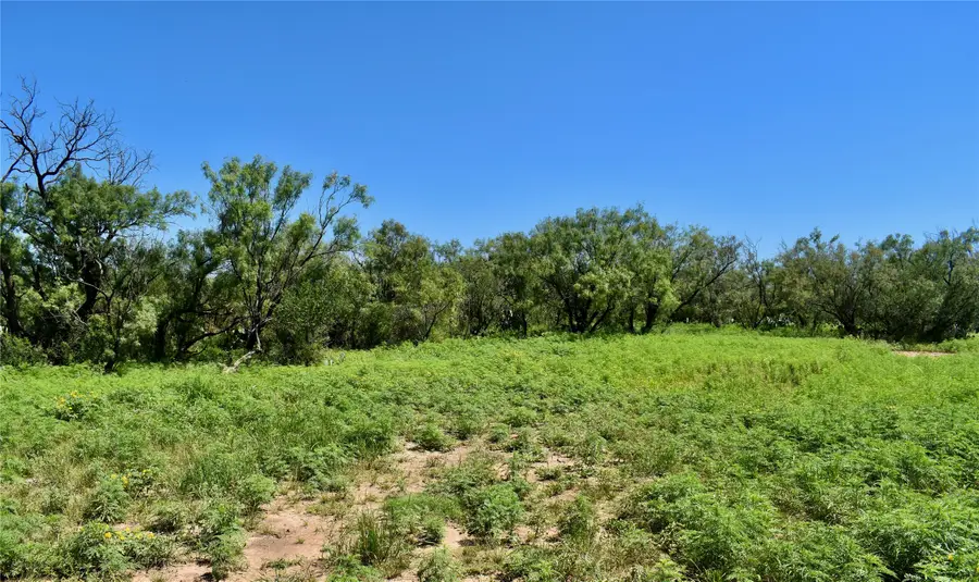 3255 Cr 340, Lohn, TX 76852 - Image #2