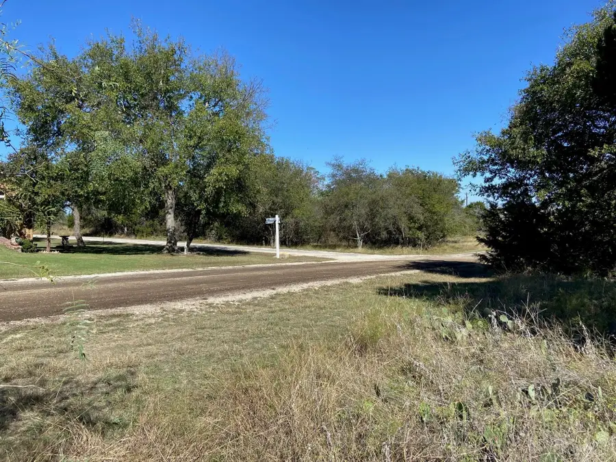 32030 Dove Trail, Whitney, TX 76692 - Image #2