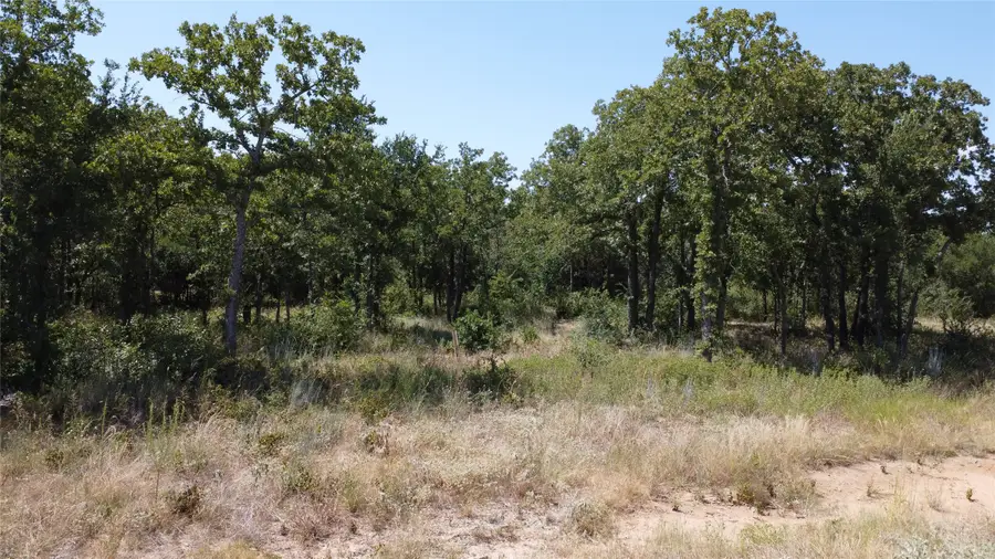 Lot 57 Paradise Oaks Ranch, Whitt, TX 76487 - Image #2