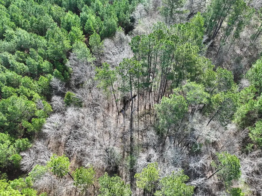 1 La 168, Rodessa, LA 71069 - Image #3