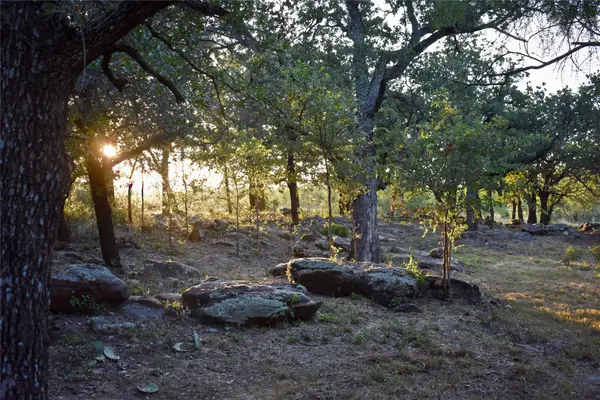 tbd W Fm 1188, Gordon, TX 76453