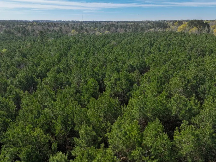 4 La 168, Rodessa, LA 71069 - Image #3