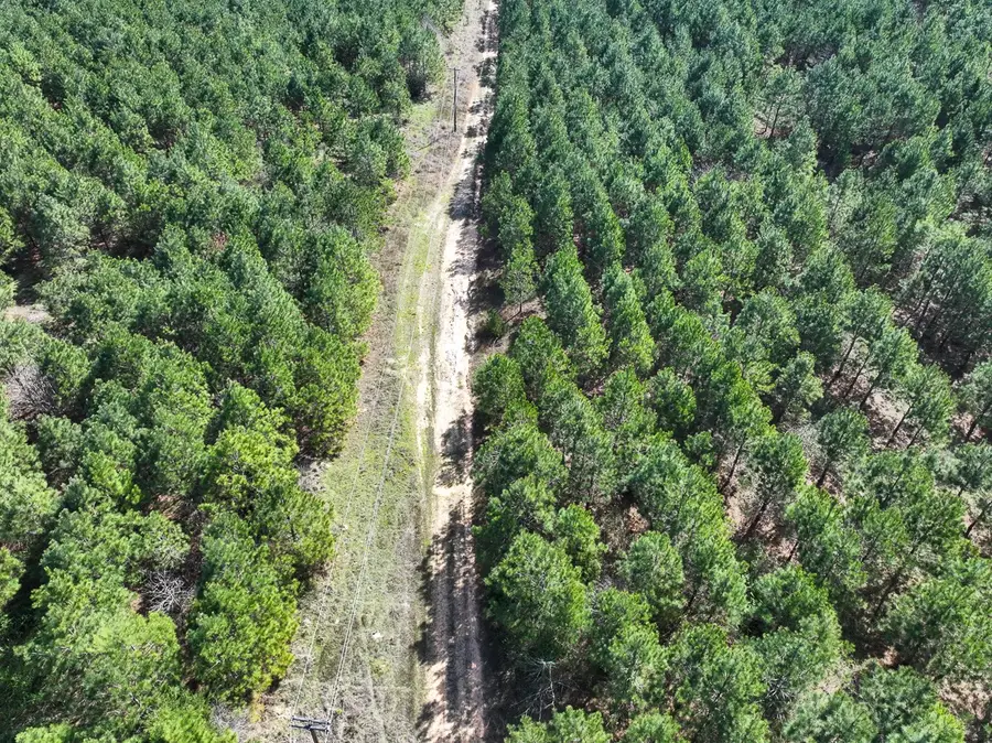 6 United Gas Road 1, Rodessa, LA 71069 - Image #3