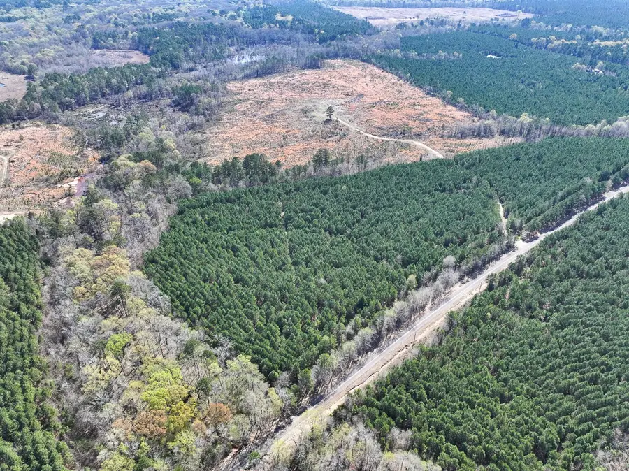 7 United Gas Road 1, Rodessa, LA 71069 - Image #3