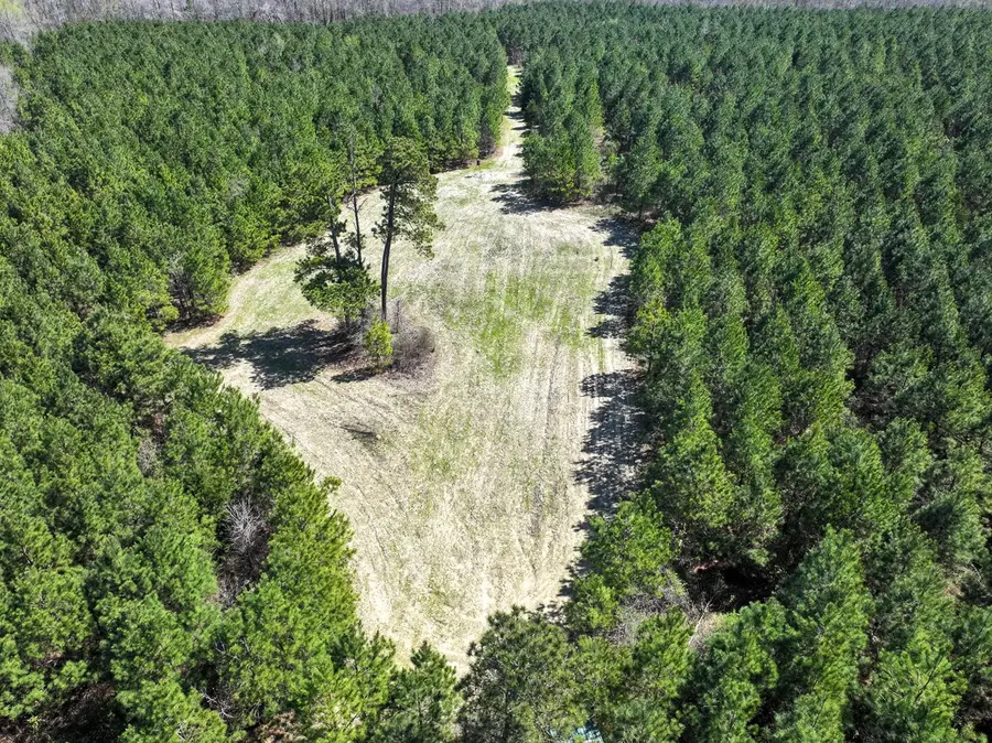 14 United Gas Road 1, Rodessa, LA 71069 - Image #3