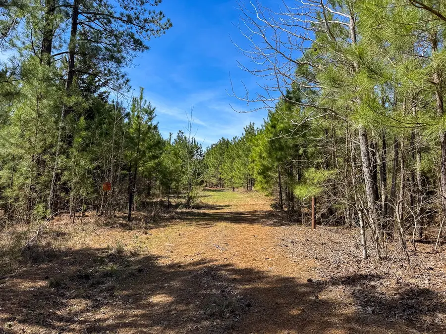 12 United Gas Road 1, Rodessa, LA 71069 - Image #3