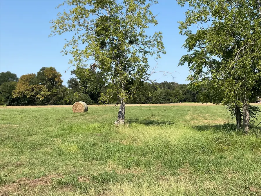 Lot 58 Grandview Drive, Corsicana, TX 75109 - Image #2